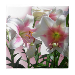 Azulejo De Cerámica Flores flores flores flores primavera Jardín amor 