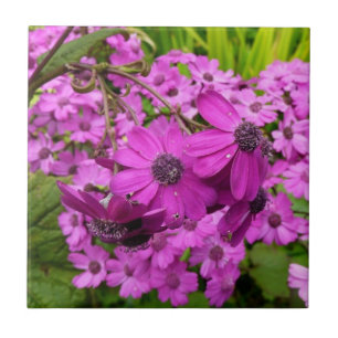 Azulejo De Cerámica Flores púrpuras de San Francisco