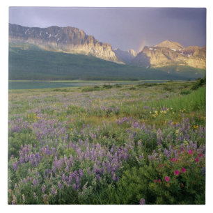 Azulejo De Cerámica Flores silvestres de la pradera a lo largo del lag