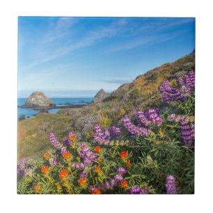 Azulejo De Cerámica Flores Silvestres De Lupina Y Pincel