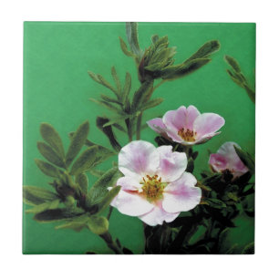 Azulejo De Cerámica flores silvestres de rosa rosa en verde, Elegante