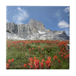 Azulejo De Cerámica Flores silvestres pico de banner - Wilderness de A
