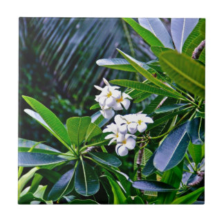 Azulejo De Cerámica Flores tropicales del Plumeria