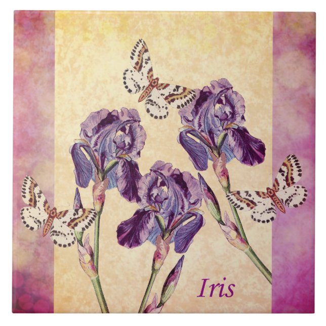 Azulejo De Cerámica Flores y mariposa púrpuras hermosas del iris (Frente)
