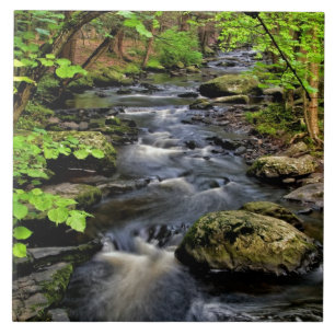 Azulejo De Cerámica Flujos de Creek a través de los bosques