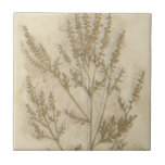 Azulejo De Cerámica Foliage II dorado<br><div class="desc">Floral</div>
