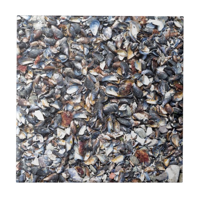 Azulejo De Cerámica Fondo de las casetas (Frente)