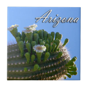 Azulejo De Cerámica Foto de Cactus Saguaro de Arizona