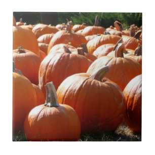 Azulejo De Cerámica Foto de calabazas para otoño, Halloween o Día de A