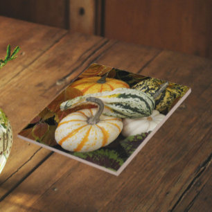 Azulejo De Cerámica Foto de naturaleza muerta de calabazas y zapallo