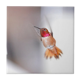 Azulejo De Cerámica Foto del vuelo del colibrí