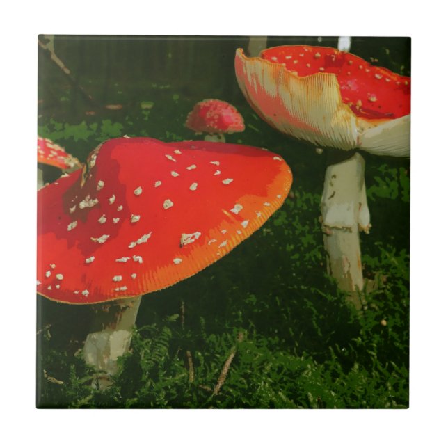 Azulejo De Cerámica Foto roja de las setas de Muscaria de la amanita (Frente)