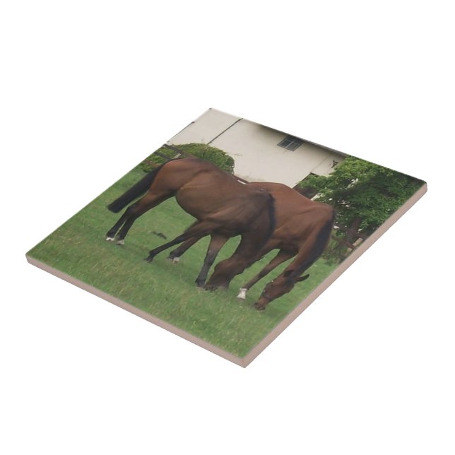 Azulejo De Cerámica Fotografía de caballos (Lado)