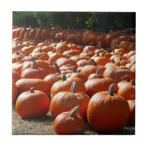 Azulejo De Cerámica Fotografía de la cosecha de otoño en el parche de