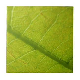 Azulejo De Cerámica Fotografía de la naturaleza botánica de la hoja ve