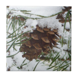 Azulejo De Cerámica Fotografía de la naturaleza de la nieve de Pine Co