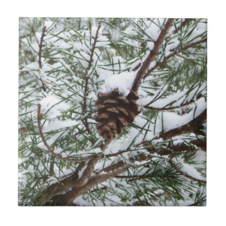 Azulejo De Cerámica Fotografía de la naturaleza del invierno de Snowy