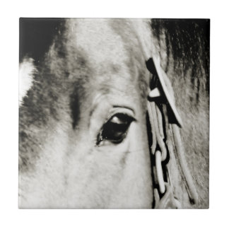 Azulejo De Cerámica Fotografía de ojo de caballo