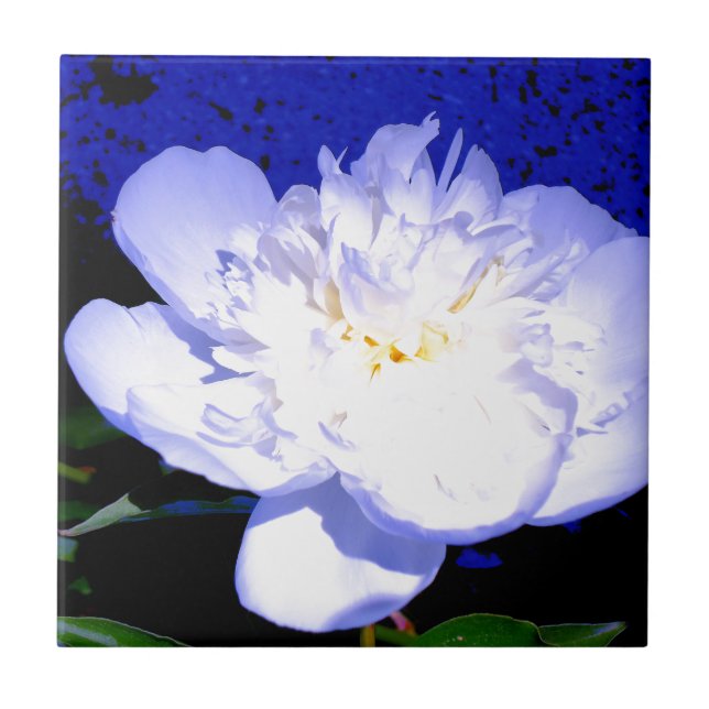Azulejo De Cerámica Fotografía de personas blancas y moradas (Frente)