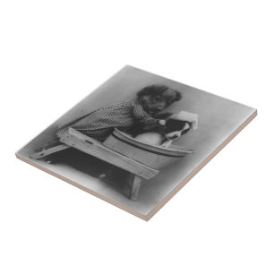 Azulejo De Cerámica Fotografía divertida del mascota de los perros de