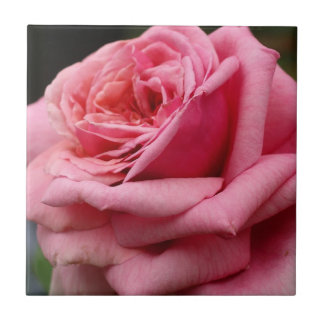 Azulejo De Cerámica Fotografía floral Rosa I Bonito