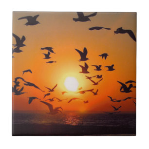 Azulejo De Cerámica Fotos de pájaros del lago Erie con puesta de sol n