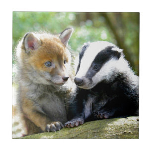 Azulejo De Cerámica ¡Foxcub y tejón lindos!