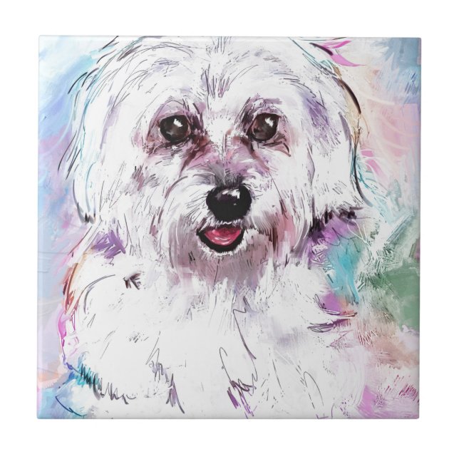 AZULEJO DE CERÁMICA FREDDY (Frente)