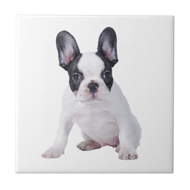Azulejo De Cerámica Frenchie-cachorro de bulldog francés (Frente)