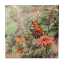 Azulejo De Cerámica Fritillary en el Golfo de Zambia