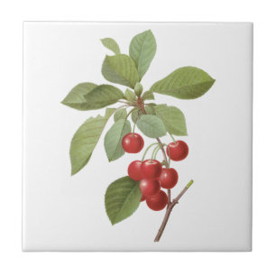 Azulejo De Cerámica Fruta Antigua Cereza Comida, Cerezas de Redoute