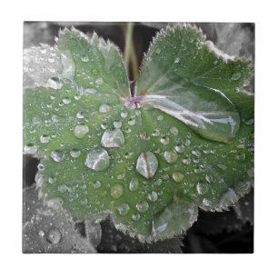 Azulejo De Cerámica fuerte lluvia
