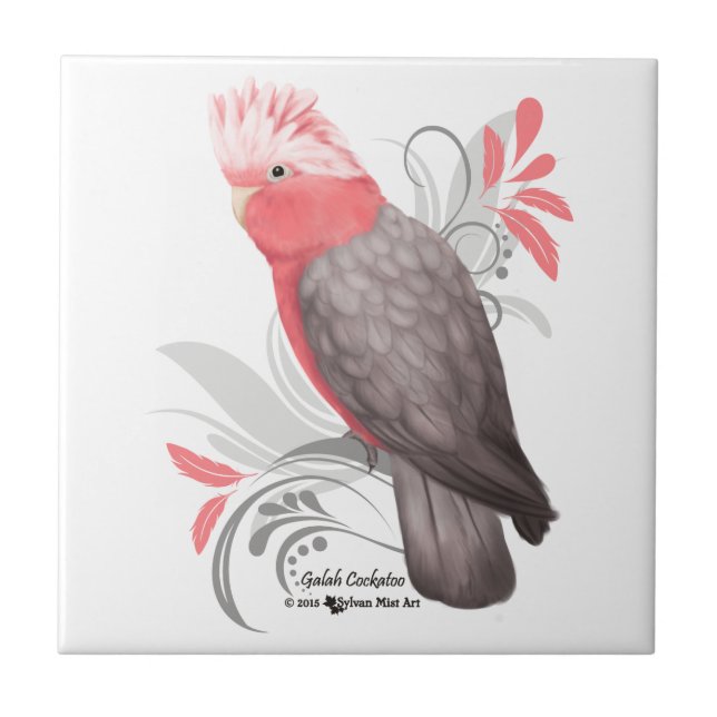 Azulejo De Cerámica Galah Cockatoo (Frente)