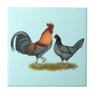 Azulejo De Cerámica Gallina Azul de Delaware