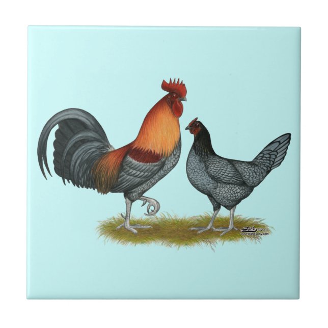 Azulejo De Cerámica Gallina Azul de Delaware (Frente)