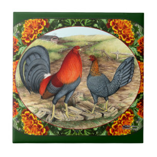 Azulejo De Cerámica Gallinas de Juego Hermosas