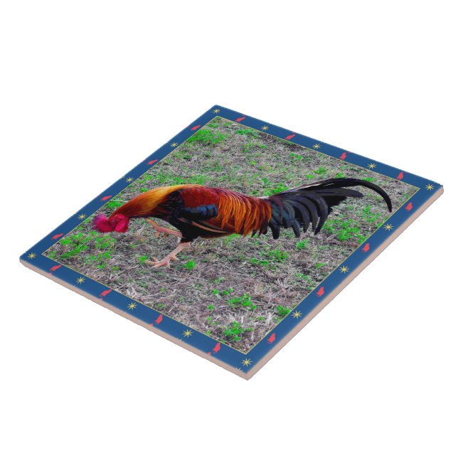 Azulejo De Cerámica Gallo de Key West (Lado)