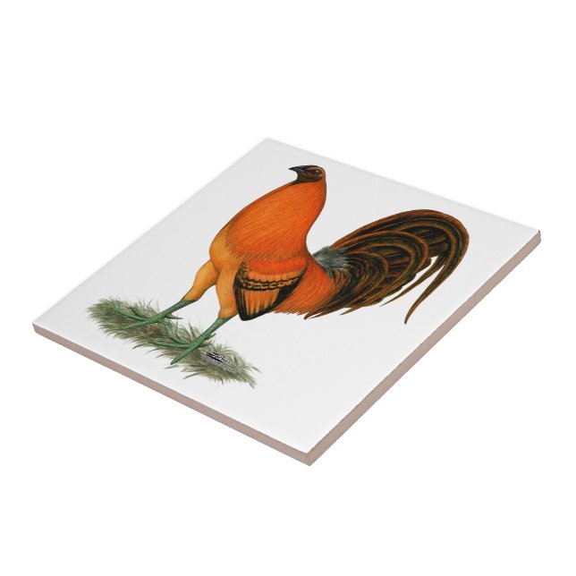 Azulejo De Cerámica Gallo Ginger Rojo Gamecock (Lado)