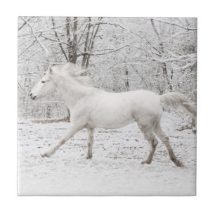 Azulejo De Cerámica Gallopando caballo blanco en la nieve