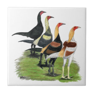 Azulejo De Cerámica Gallos de Juego Modernos