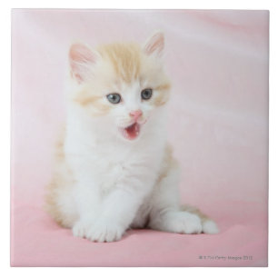 Azulejo De Cerámica Gatito en fondo rosado