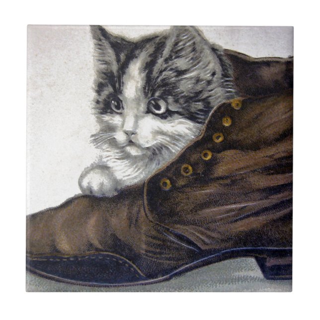 Azulejo De Cerámica Gatito en un zapato (Frente)