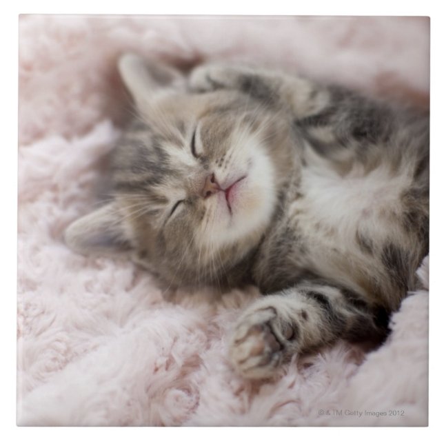 Azulejo De Cerámica Gatito que duerme en la toalla (Frente)