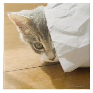 Azulejo De Cerámica Gatito que oculta en bolsa de papel