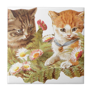 Azulejo De Cerámica Gatitos