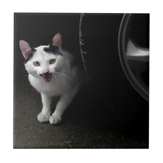 Azulejo De Cerámica Gato con bigote (Frente)