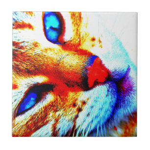 Azulejo De Cerámica Gato de Molly