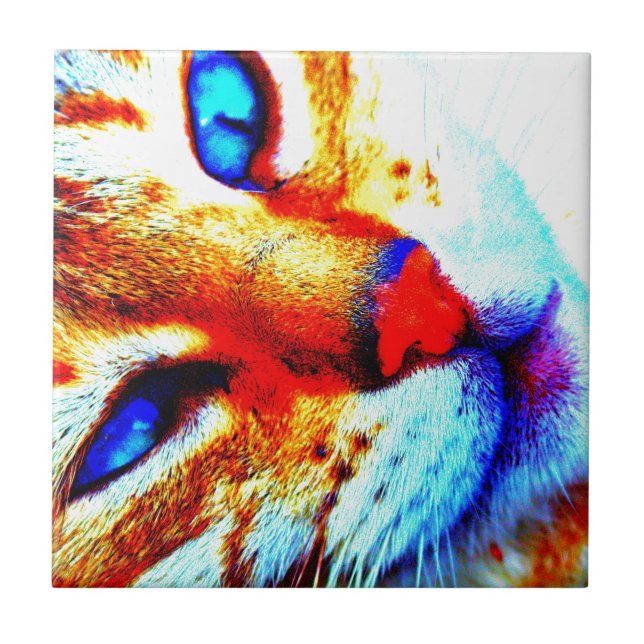 Azulejo De Cerámica Gato de Molly (Frente)