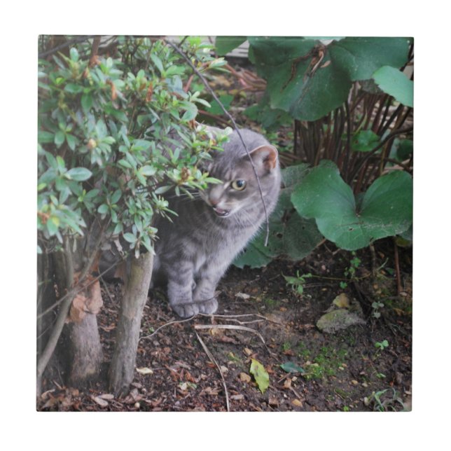 Azulejo De Cerámica gato en un jardín (Frente)