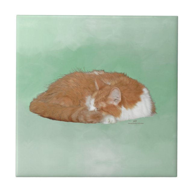Azulejo De Cerámica Gato Naranja Durmiendo (Frente)